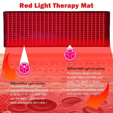 Whole Body Fitness Red Light Therapy Health Care Led Red Light Therapy Full Body Wrap